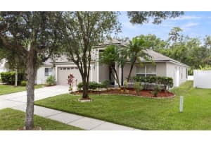18144 SANDY POINTE DRIVE, TAMPA, FL 33647 Sold 08/11/25