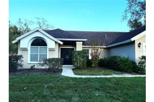 7202 RIDGEPORT DRIVE, TAMPA, FL 33647 - MLS#MFRTB8403102