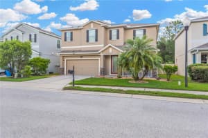 1224 HALAPA WAY, TRINITY, FL 34655 - MLS#MFRTB8403112