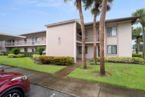 105 MARY DRIVE, OLDSMAR, FL 34677 - MLS#MFRTB8403116