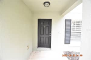 31023 TEMPLE STAND AVENUE, WESLEY CHAPEL, FL 33543 - MLS#MFRTB8403128