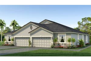31442 Paper Birch St, WESLEY CHAPEL