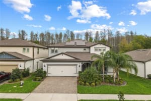 20718 MONZA LOOP, LAND O LAKES, FL 34638 - MLS#MFRTB8403140