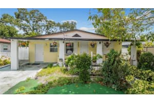 2507 W Wilder Ave, TAMPA