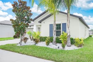15408 WICKED STRONG STREET, RUSKIN, FL 33573 - MLS#MFRTB8403199