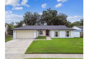 4010 MOUNTAIN SPRINGS LANE, TAMPA, FL 33624 Sold 08/13/25