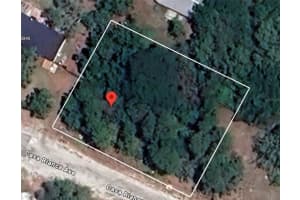 12905 CASA BIANCA AVENUE, NEW PORT RICHEY, FL 34654 - MLS#MFRTB8403217