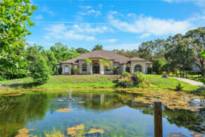 16291 EAGLE VIEW DRIVE, SPRING HILL, FL 34610 Sold 08/05/25