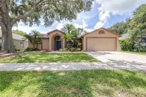 1324 Gangplank Dr, VALRICO
