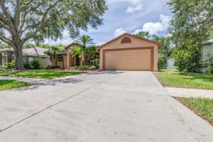 1324 GANGPLANK DRIVE, VALRICO, FL 33594 - MLS#MFRTB8403269