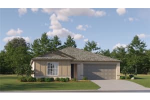 1803 Tropical Oasis Ave, PLANT CITY