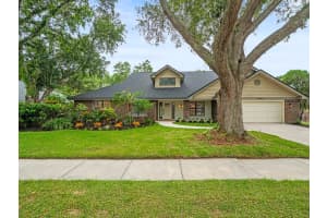 3334 Westmoreland Dr, TAMPA