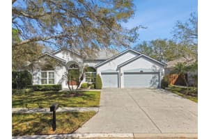 15209 HAMMOCK CHASE COURT, ODESSA, FL 33556 - MLS#MFRTB8403357