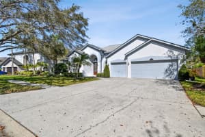 15209 HAMMOCK CHASE COURT, ODESSA, FL 33556 - MLS#MFRTB8403357