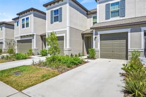 31945 BLUE PASSING LOOP, WESLEY CHAPEL, FL 33545 - MLS#MFRTB8403369