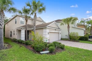 16030 BELLA WOODS DRIVE, TAMPA, FL 33647 - MLS#MFRTB8403378