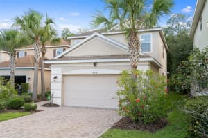 16030 BELLA WOODS DRIVE, TAMPA, FL 33647 - MLS#MFRTB8403378