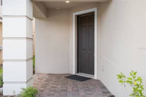 16030 BELLA WOODS DRIVE, TAMPA, FL 33647 - MLS#MFRTB8403378