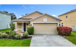 12519 WHITE BLUFF ROAD, HUDSON, FL 34669 - MLS#MFRTB8403393