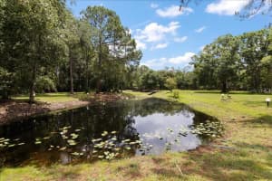 935 RANCH ROAD, TARPON SPRINGS, FL 34688 - MLS#MFRTB8403410