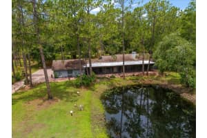935 RANCH ROAD, TARPON SPRINGS, FL 34688 - MLS#MFRTB8403410