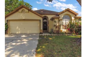 13420 Sunvale Pl, TAMPA