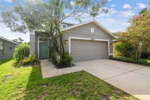 10343 Avelar Ridge Dr, RIVERVIEW