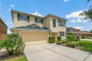 20115 NOB OAK AVENUE, TAMPA, FL 33647 - MLS#MFRTB8403453