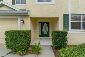 20115 NOB OAK AVENUE, TAMPA, FL 33647 - MLS#MFRTB8403453
