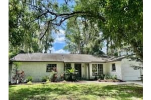 17017 Paula Ln, LUTZ