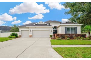 11127 Wembley Landing Dr, LITHIA