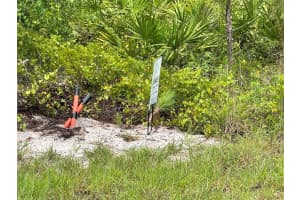 728 VESPUCCI AVENUE, LEHIGH ACRES, FL 33974 - MLS#MFRTB8403558