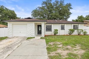 4410 Lurline Cir, TAMPA