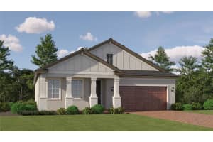 9703 Minnow Ray Dr, LAND O LAKES