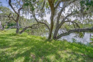 6625 BURNING TREE DRIVE, SEMINOLE, FL 33777 - MLS#MFRTB8403674