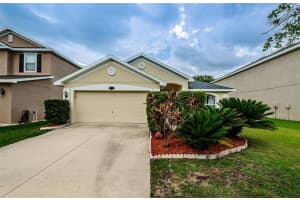 20229 Natures Spirit Dr, TAMPA