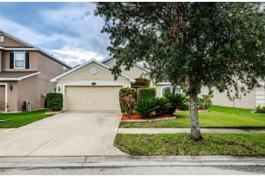 20229 NATURES SPIRIT DRIVE, TAMPA, FL 33647 - MLS#MFRTB8403682