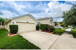 20229 NATURES SPIRIT DRIVE, TAMPA, FL 33647 - MLS#MFRTB8403682