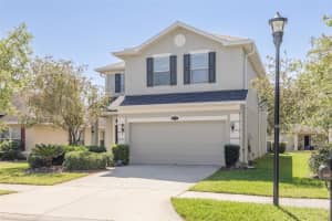 20215 Natures Spirit Dr, TAMPA