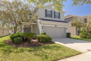 20215 NATURES SPIRIT DRIVE, TAMPA, FL 33647 - MLS#MFRTB8403695