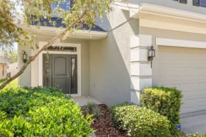 20215 NATURES SPIRIT DRIVE, TAMPA, FL 33647 - MLS#MFRTB8403695