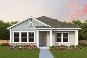 28792 Rambutan Dr, WESLEY CHAPEL