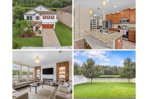 19418 Paddock View Dr, TAMPA