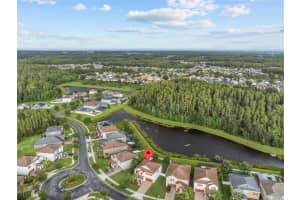 19418 PADDOCK VIEW DRIVE, TAMPA, FL 33647 - MLS#MFRTB8403734
