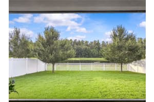 19418 PADDOCK VIEW DRIVE, TAMPA, FL 33647 - MLS#MFRTB8403734