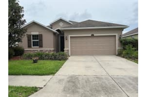 3802 Grecko Dr, WESLEY CHAPEL
