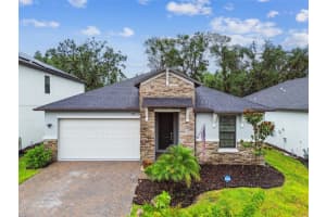 9810 Carabiner Way, LAND O LAKES