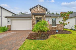 9810 CARABINER WAY, LAND O LAKES, FL 34637 - MLS#MFRTB8403756