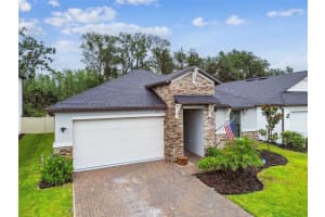 9810 CARABINER WAY, LAND O LAKES, FL 34637 - MLS#MFRTB8403756