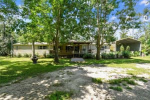 26771 DEACON LOOP, WESLEY CHAPEL, FL 33544 - MLS#MFRTB8403757